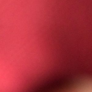 Meet your Posher, Preston